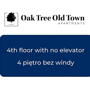 Oak Tree Old Town Krakov